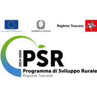 Fondo europeo agricolo per lo sviluppo rurale